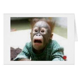 USTED PARECE UN MONO TAMBIÉN