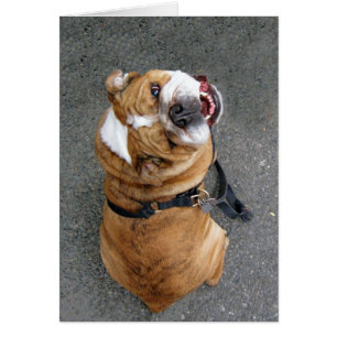 ¿Usted que habla conmigo?