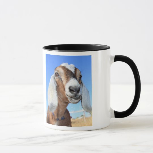Usted taza vieja del club de la cabra