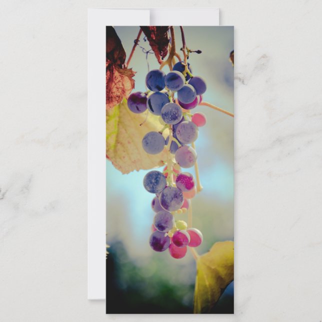Uvas (Anverso)