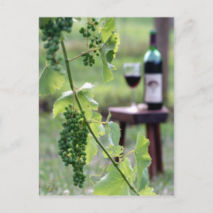 Uvas de Kentucky Tarjeta Postal