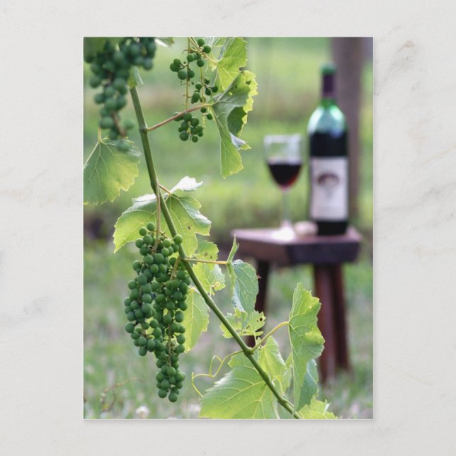 Uvas de Kentucky Tarjeta Postal (Anverso)