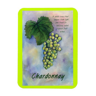 Uvas de vino Chardonnay pintando el imán de arte