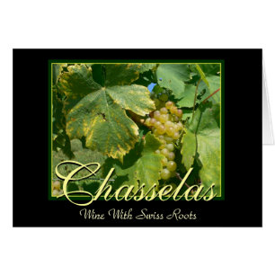 Uvas de vino de Chasselas en Mont-Sur-Rolle