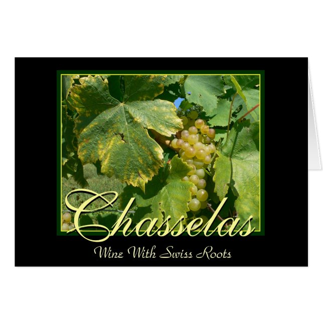Uvas de vino de Chasselas en Mont-Sur-Rolle (Anverso (Horizontal))