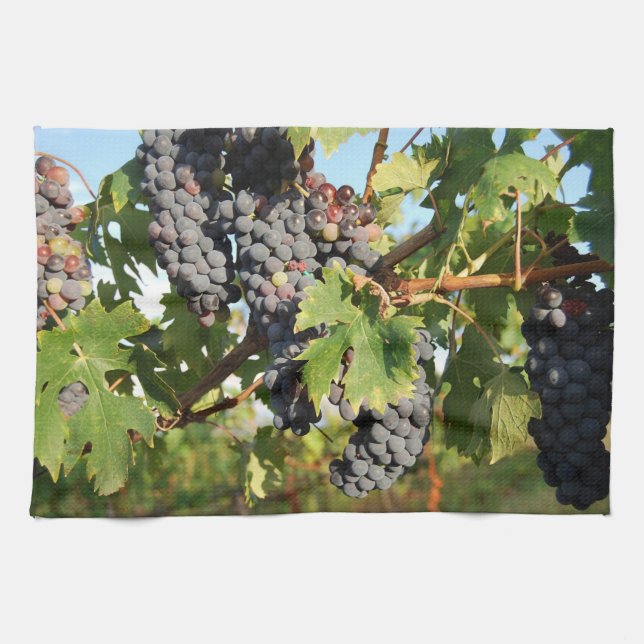 Uvas de vino en la toalla de cocina de la vid (Horizontal)