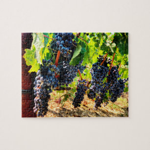 Uvas de vino Jigsaw Puzzle