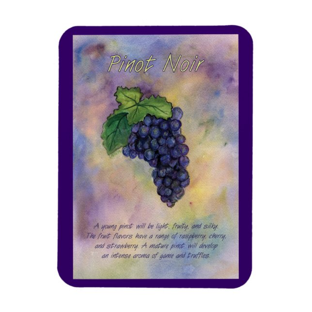 Uvas de vino Pinot Noir Pintando imán de arte (Vertical)