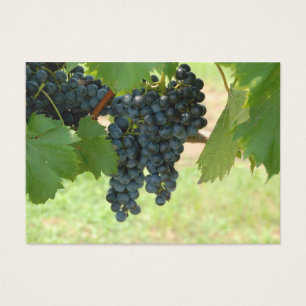 Uvas del viñedo