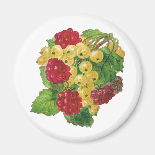 Uvas e imanes de Berries (Frente)