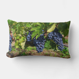 Uvas en la almohada del vino