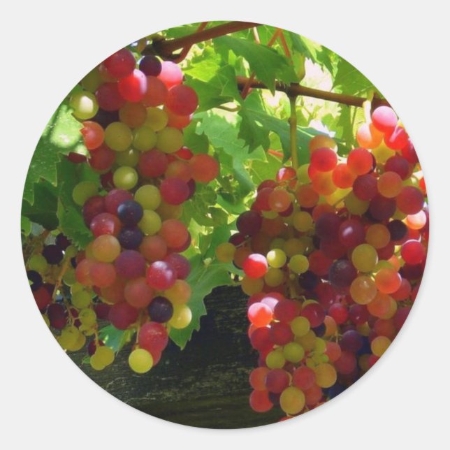 Uvas En Un Pegatina Vino (Anverso)