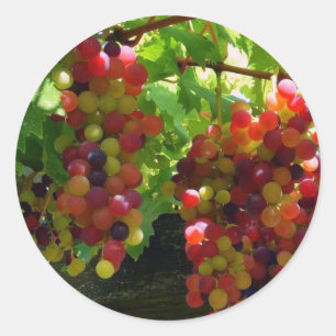 Uvas En Un Pegatina Vino