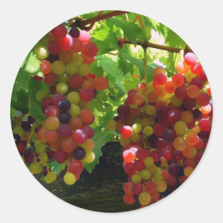 Uvas En Un Pegatina Vino