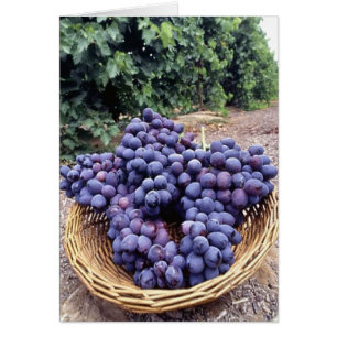 Uvas moradas reales