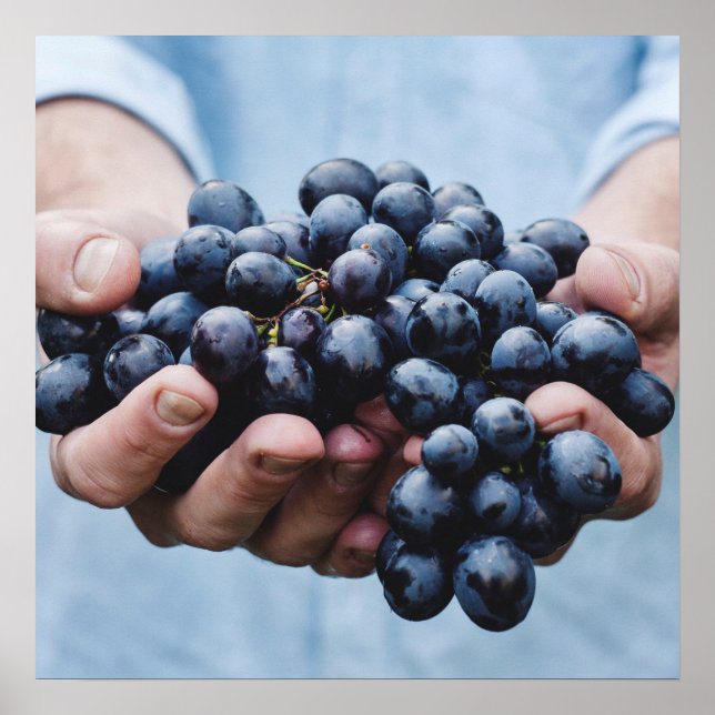 Uvas / Póster de cocina para foodies (Frente)