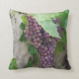 Uvas púrpuras en la almohada de la vid