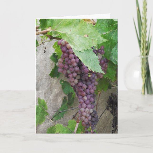 Uvas púrpuras en la tarjeta de felicitación del vi (Anverso)
