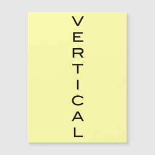 V TARJETA MAGNÉTICA