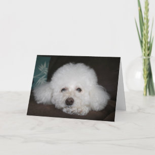 Va a estar bien Tarjeta de perro