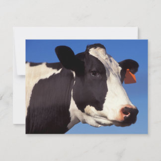 Vaca