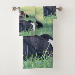Vaca