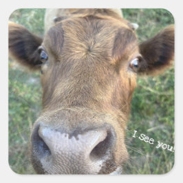 Vaca Adorable Como Pegatina Nosey