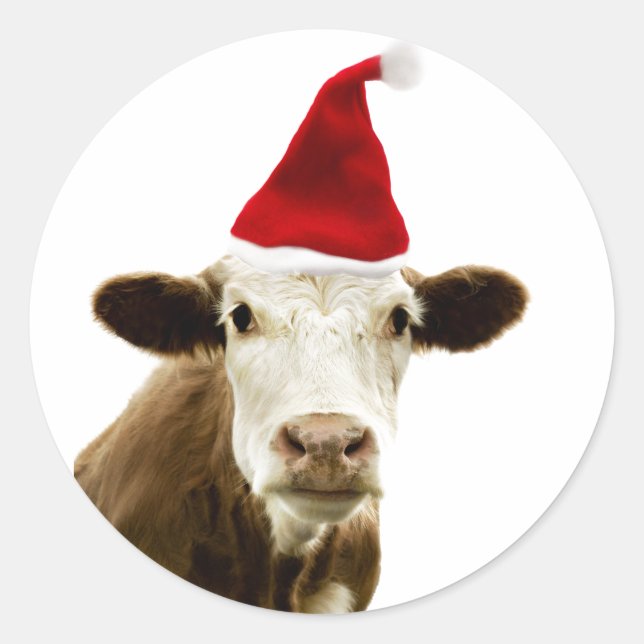 VACA CON GORRO DE SANTA REDONDA PEGATINA PERSONALI (Anverso)