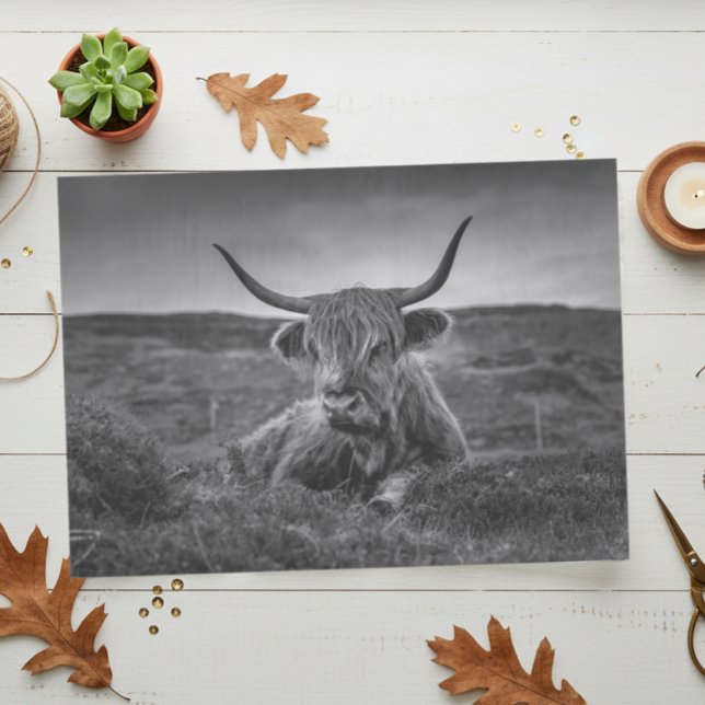 Vaca de las Tierras Altas de Escocia Papel de Seda (Subido por el creador)