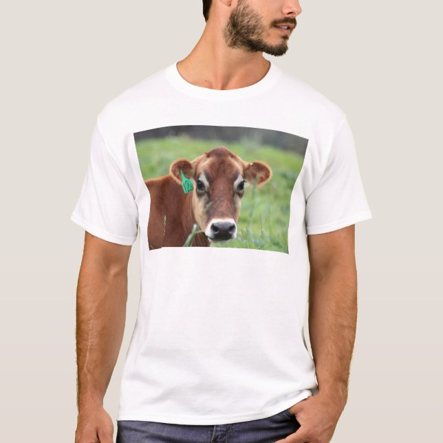 Vaca del jersey (Anverso)