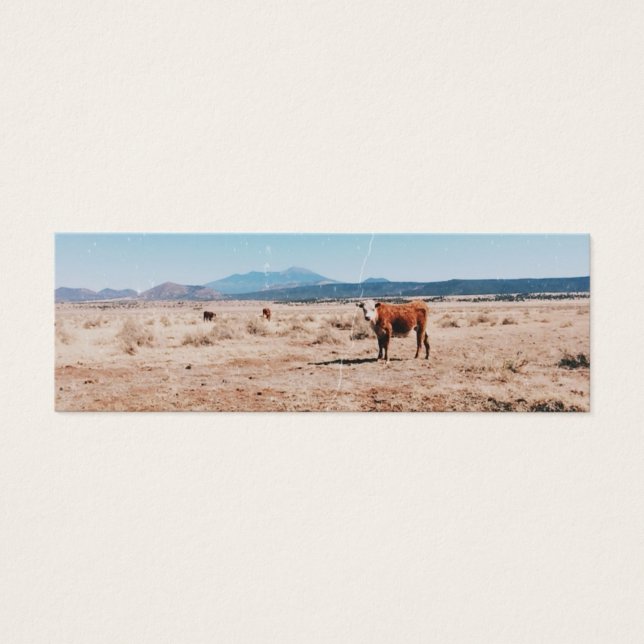 Vaca desértica (Frente)