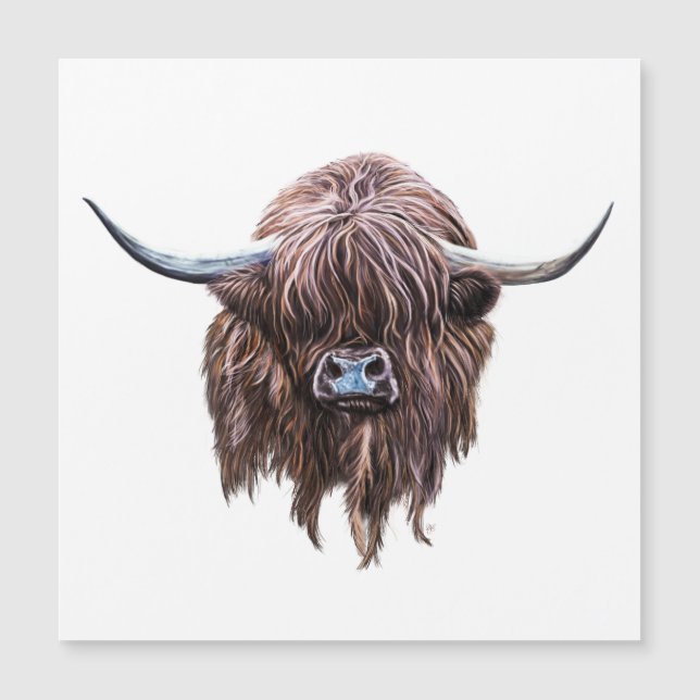 Vaca En Color De Escocia En La Alta Tierra (Anverso)
