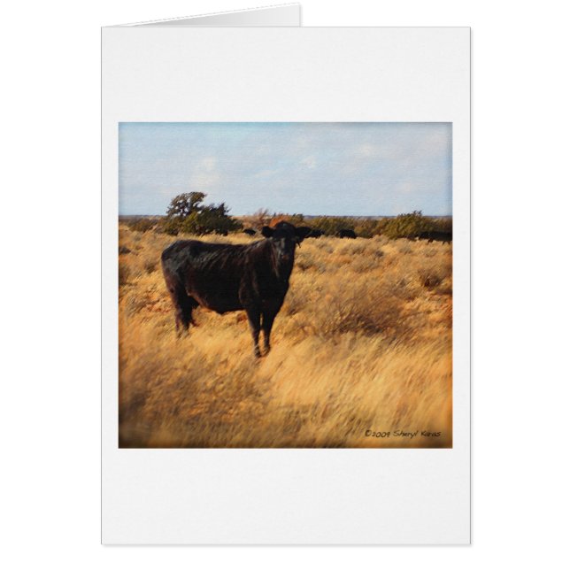 Vaca en el campo (Frente)