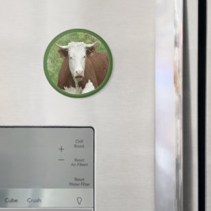 Vaca en el imán del Cameo de hierba