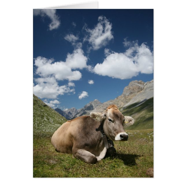 Vaca en pasto (Frente)