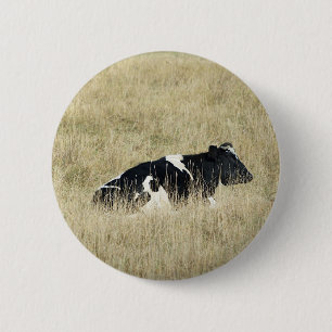 Vaca en reposo - Botón