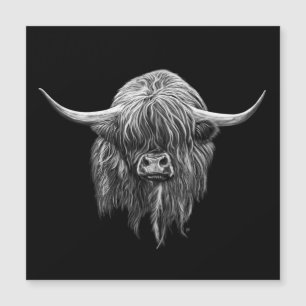 Vaca escocesa de la montaña en blanco y negro