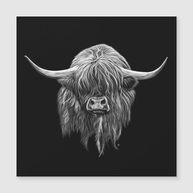 Vaca escocesa de la montaña en blanco y negro (Anverso)