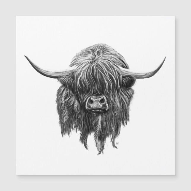 Vaca Escocesa De Tierras Altas En Blanco Y Negro (Anverso)