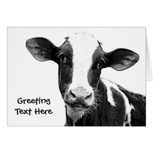 Vaca lechera - becerro blanco y negro de la