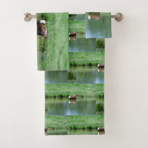 Vaca Nadando En Un Estanque