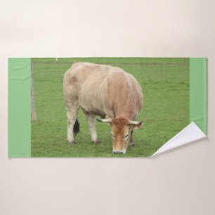 Vaca nantaise