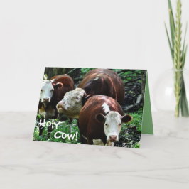 Vaca Santa Sobre La Tarjeta De Cumpleaños De La Co