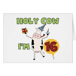 Vaca santa soy 16 camisetas y regalos