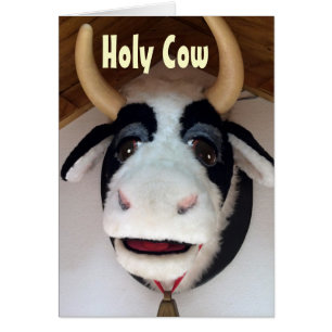 ¿VACA SANTA TIENES 40? ¿CÓMO?