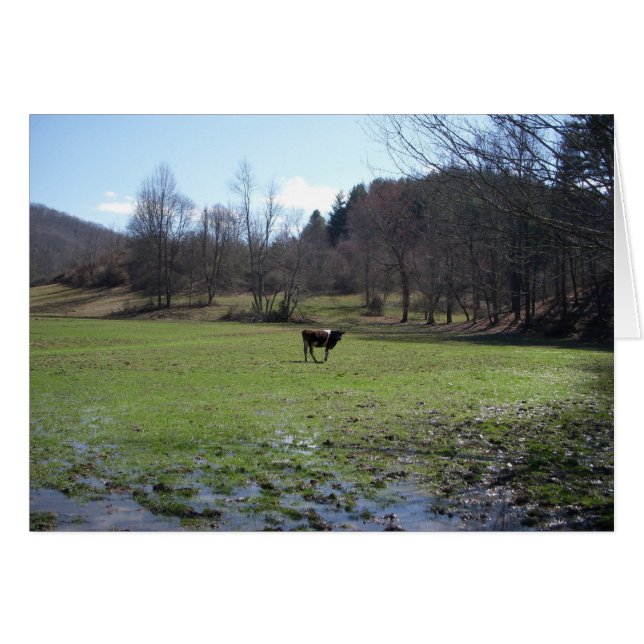 Vaca solitaria (Anverso (Horizontal))