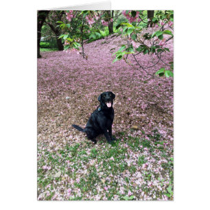 Vacaciones de primavera