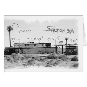 Vacaciones Funky - Mar de Salton