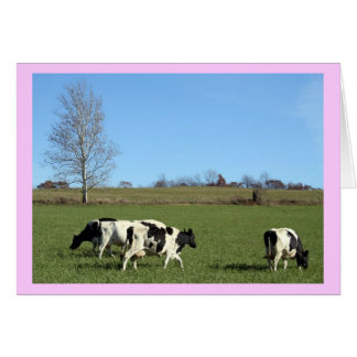 Vacas