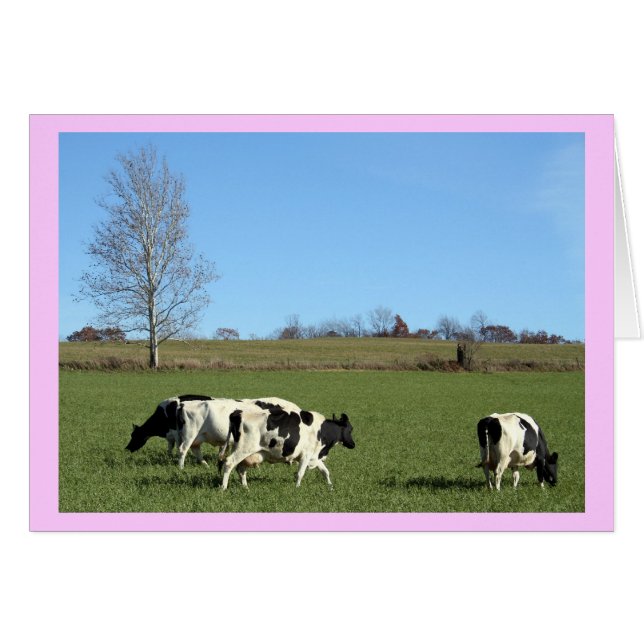 Vacas (Anverso (Horizontal))